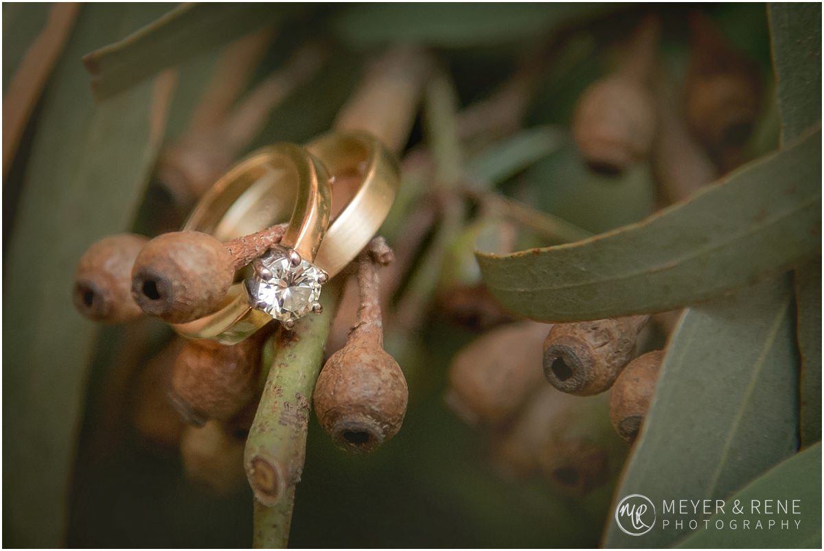 Monte Bello Wedding Photos Bloemfontein