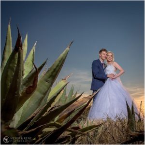 Pepper Tree Wedding Photos