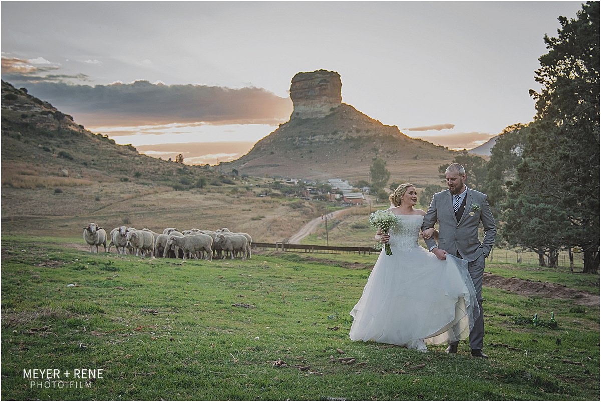 Oranje Guest Farm Wedding Photos